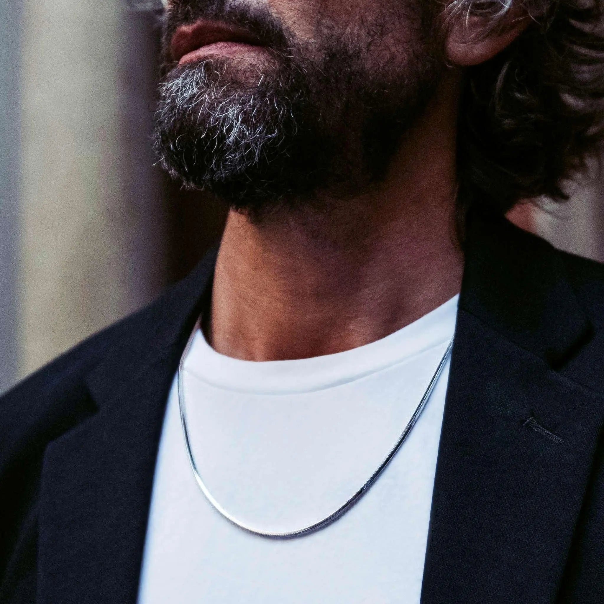 AWNL 瑞典珠寶 北歐 純銀 蛇骨鏈條項鍊 男士鏈條 - AWNL Taiwan