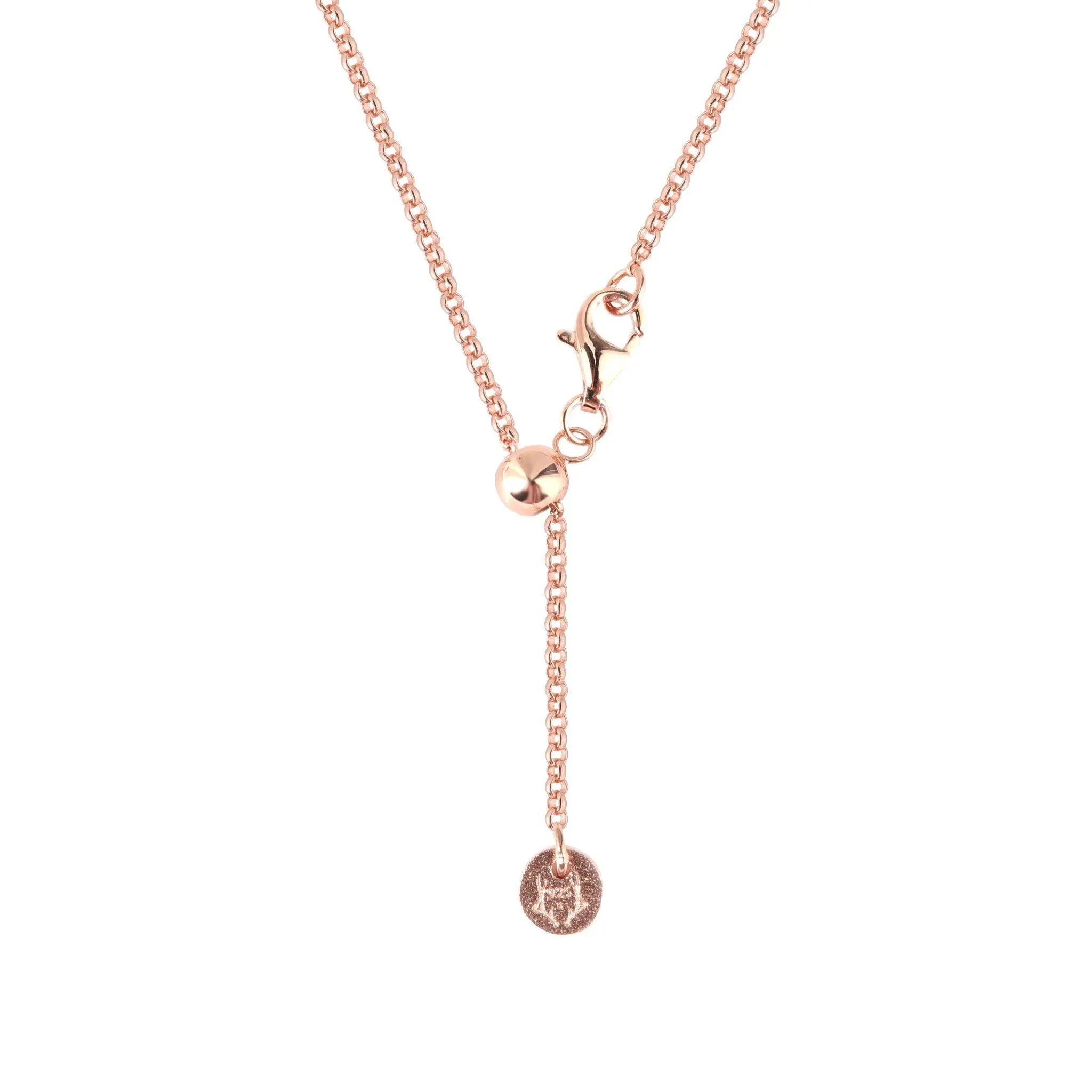 AWNL 瑞典珠寶 瑞典隕石 M隕石 恆星許願 女士項鍊 隕石項鍊 - AWNL Taiwan