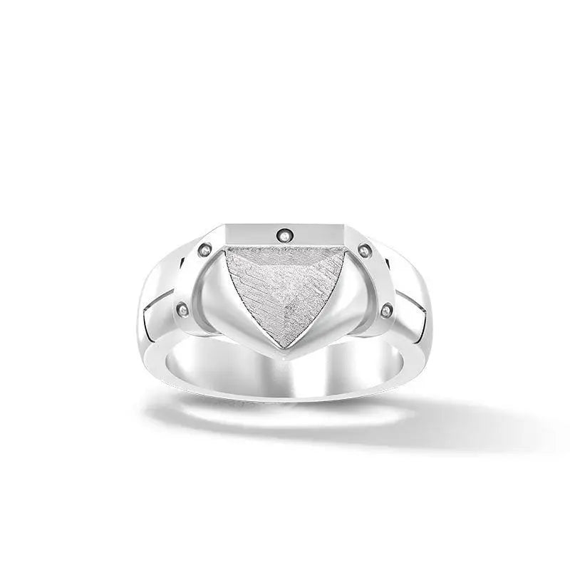 AWNL 瑞典隕石 男士盾形戒指 - AWNL Taiwan