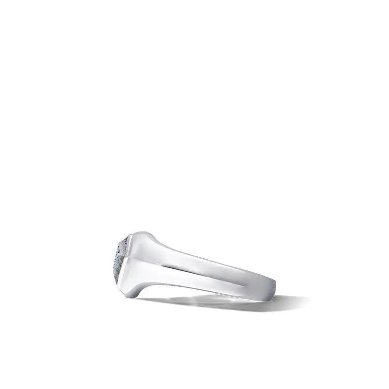 AWNL 希望光譜石 男士戒指 - AWNL Taiwan