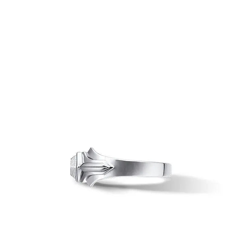 AWNL 七海之戒 男士隕石戒指 - AWNL Taiwan