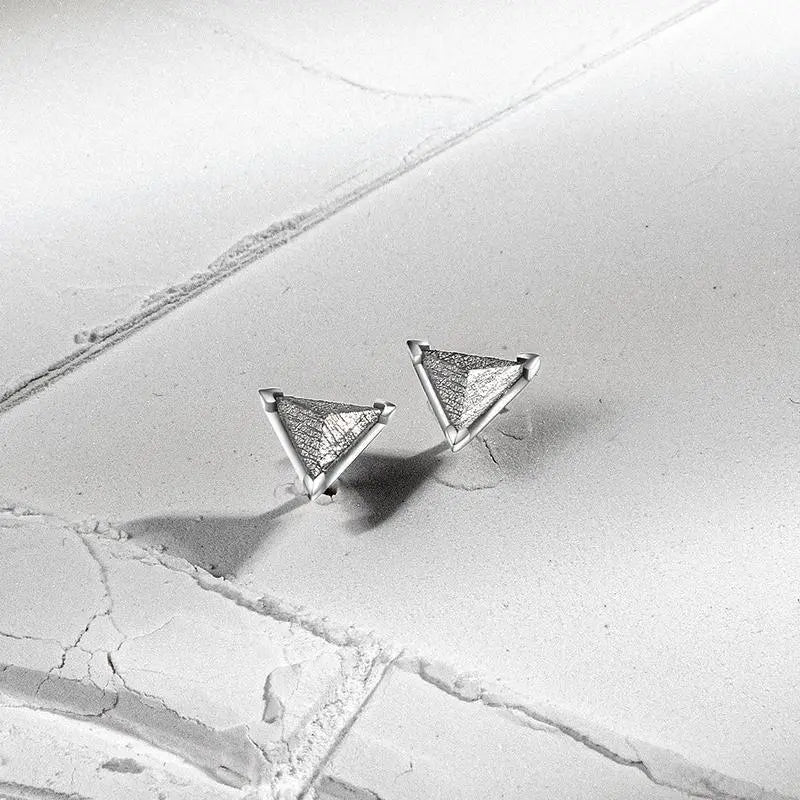 AWNL 瑞典隕石鉑金耳環 - AWNL Taiwan